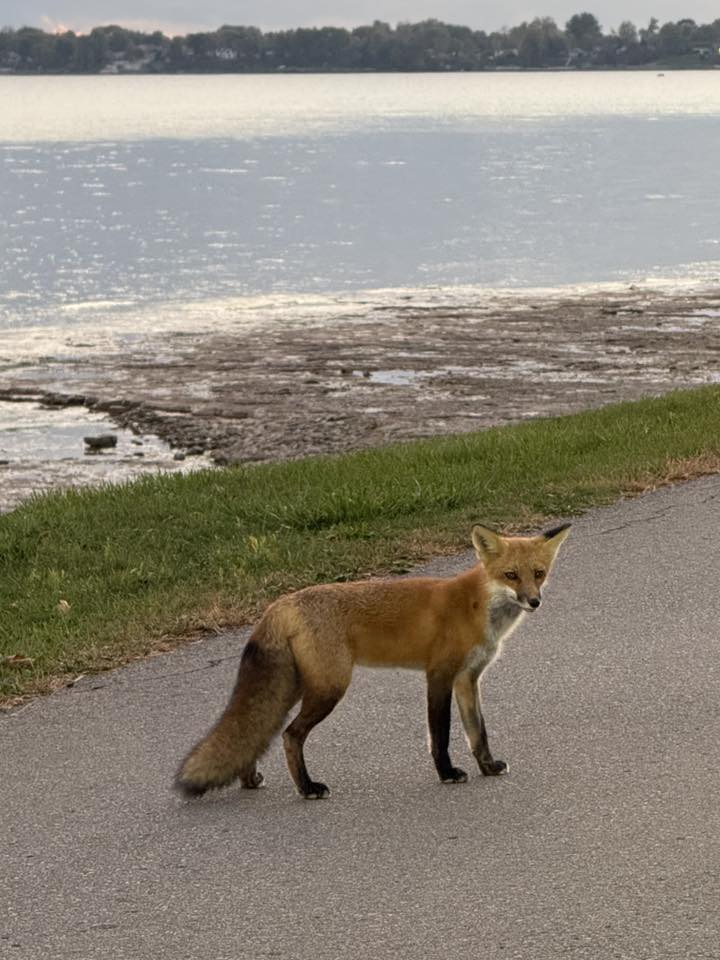 560574788_10161340762516862_8308994921379012458_n