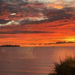 Debi-Keir-Nicholson-1