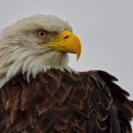 b_received-488207582640118