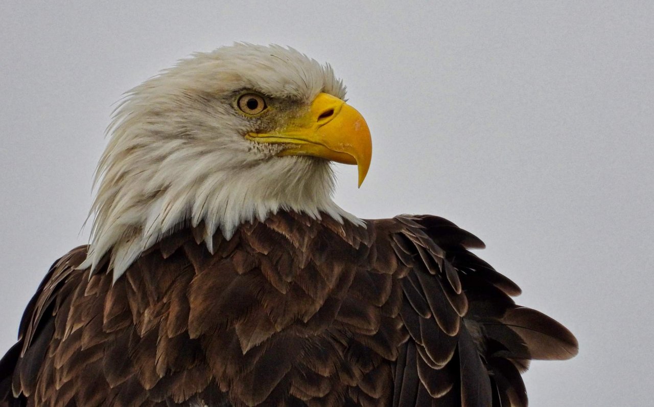 b_received-488207582640118