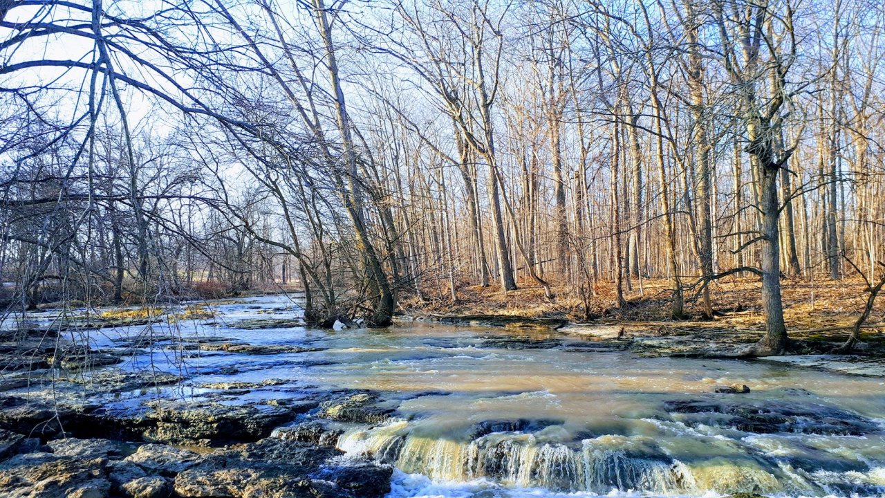 f_90963905-10163249512495118-6083352499362725888-o